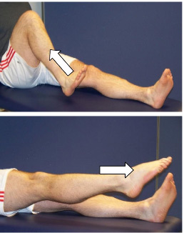 Physiotherapy Exercises following an Ankle Fracture: Safe and